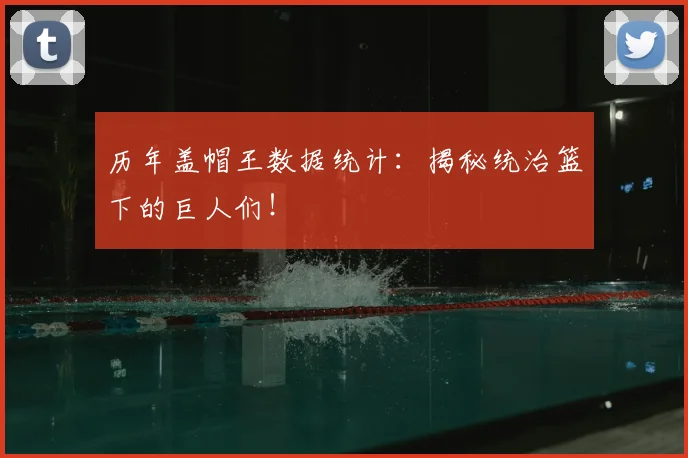 历年盖帽王数据统计:揭秘统治篮下的巨人们!